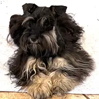 processed/f18ee2e6-9c30-47f3-94a3-7d606fee9952/facility/f8104503-80c7-4e46-8720-b741957ef850