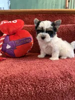 processed/f18ee2e6-9c30-47f3-94a3-7d606fee9952/listing/62ff0365-943e-493b-aa9d-a4706feb28fb/0b969832-551a-4597-980c-3cc1d7ca0df3