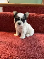 processed/f18ee2e6-9c30-47f3-94a3-7d606fee9952/listing/62ff0365-943e-493b-aa9d-a4706feb28fb/8362948d-8fca-4296-8825-a1503391190b