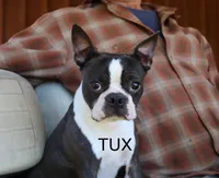 processed/f1969103-41b2-43d9-884d-8d3748d5be13/facility/66c8722e-51d8-465e-aa10-2634ddb8df4c