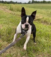 processed/f1969103-41b2-43d9-884d-8d3748d5be13/facility/cf777638-0cd6-4d06-87cb-406351903ebd