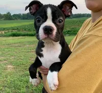 processed/f1969103-41b2-43d9-884d-8d3748d5be13/facility/f38074ee-9e83-4430-ad7d-9224a557d990