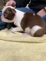 processed/f1969103-41b2-43d9-884d-8d3748d5be13/listing/268e9f3d-2fdd-49c1-8a8c-31008451b59e/04683ca7-b03f-4b9b-86c6-57cc714c1af1