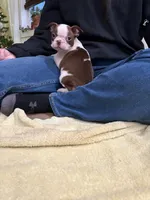 processed/f1969103-41b2-43d9-884d-8d3748d5be13/listing/268e9f3d-2fdd-49c1-8a8c-31008451b59e/22650c9c-5dd2-490b-893b-ac99701c7f9c