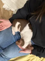 processed/f1969103-41b2-43d9-884d-8d3748d5be13/listing/268e9f3d-2fdd-49c1-8a8c-31008451b59e/27b88dfd-66c8-4f5f-b345-167e1960e81f