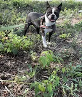 processed/f1969103-41b2-43d9-884d-8d3748d5be13/listing/268e9f3d-2fdd-49c1-8a8c-31008451b59e/41706a92-95e5-4f42-9f8b-c584087f2e62