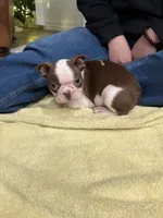 processed/f1969103-41b2-43d9-884d-8d3748d5be13/listing/268e9f3d-2fdd-49c1-8a8c-31008451b59e/65f78245-edf4-49a0-a95b-be179422b5d2