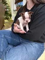 processed/f1969103-41b2-43d9-884d-8d3748d5be13/listing/268e9f3d-2fdd-49c1-8a8c-31008451b59e/7bc1eb6e-1292-4a86-8c48-5979a85c0053