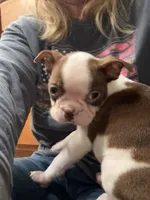 processed/f1969103-41b2-43d9-884d-8d3748d5be13/listing/268e9f3d-2fdd-49c1-8a8c-31008451b59e/daeabf57-9882-4847-9730-582003ad0a4c