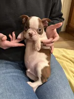 processed/f1969103-41b2-43d9-884d-8d3748d5be13/listing/268e9f3d-2fdd-49c1-8a8c-31008451b59e/f4a114a9-91fe-4462-aa4d-7b2071b551b0