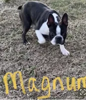 processed/f1969103-41b2-43d9-884d-8d3748d5be13/listing/cefbdfc6-a833-49dd-af4a-40bb425f80dd/3320f650-1720-41c5-982e-812263ad9b4a