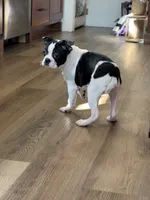 processed/f1969103-41b2-43d9-884d-8d3748d5be13/listing/fb89eecf-0e3c-4abd-b3e3-fd222d257894/2f64a65e-c2c2-4621-a7ed-89160fe1bf40