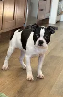 processed/f1969103-41b2-43d9-884d-8d3748d5be13/listing/fb89eecf-0e3c-4abd-b3e3-fd222d257894/625bdb28-a964-44bc-a6cb-4efa650cdfc9