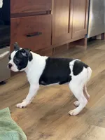 processed/f1969103-41b2-43d9-884d-8d3748d5be13/listing/fb89eecf-0e3c-4abd-b3e3-fd222d257894/65f3430f-b5e9-474c-9e26-902bf8016629