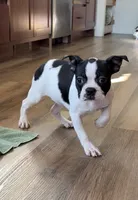 processed/f1969103-41b2-43d9-884d-8d3748d5be13/listing/fb89eecf-0e3c-4abd-b3e3-fd222d257894/6f84348d-ab0d-40c9-be7a-7c0964c11c9c