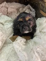 processed/f19af316-ea70-4a04-82ab-e2046be24b66/listing/4a2386ce-bda6-4565-be79-7cf54f8d1a89/12493452-c593-41c8-9244-ea891b9665d0