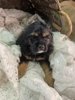 processed/f19af316-ea70-4a04-82ab-e2046be24b66/listing/4a2386ce-bda6-4565-be79-7cf54f8d1a89/573cc8d4-56e0-4316-8f9d-5d21c96ea814