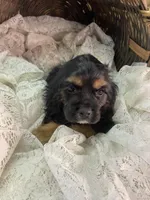 processed/f19af316-ea70-4a04-82ab-e2046be24b66/listing/4a2386ce-bda6-4565-be79-7cf54f8d1a89/63e24143-8fed-4bd1-8f21-03bb8db91232