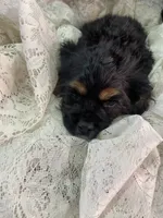 processed/f19af316-ea70-4a04-82ab-e2046be24b66/listing/4a2386ce-bda6-4565-be79-7cf54f8d1a89/7ffb922d-6093-449e-aa6e-f0b486947697