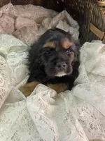 processed/f19af316-ea70-4a04-82ab-e2046be24b66/listing/4a2386ce-bda6-4565-be79-7cf54f8d1a89/c34b04c3-ab1e-4e6b-a4bb-d4942592fa55