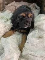 processed/f19af316-ea70-4a04-82ab-e2046be24b66/listing/4a2386ce-bda6-4565-be79-7cf54f8d1a89/d07136ce-7bc7-434d-8c11-5adf6d1013ec