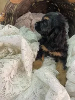 processed/f19af316-ea70-4a04-82ab-e2046be24b66/listing/4a2386ce-bda6-4565-be79-7cf54f8d1a89/ed1a7ba7-ab01-49b0-aa5f-aec12738048f