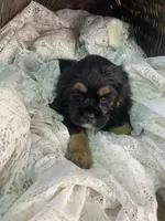 processed/f19af316-ea70-4a04-82ab-e2046be24b66/listing/6501b09b-2712-497a-9f06-ef68e791dc8a/47184e89-f757-41fa-aba7-1adc8e019c69