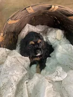 processed/f19af316-ea70-4a04-82ab-e2046be24b66/listing/6501b09b-2712-497a-9f06-ef68e791dc8a/49cdab93-611e-42cf-8c2a-95f86cf676cc