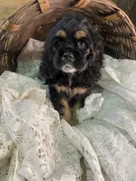 processed/f19af316-ea70-4a04-82ab-e2046be24b66/listing/6501b09b-2712-497a-9f06-ef68e791dc8a/6737ea0f-bc8d-4bce-8b02-c9c50e59e37a