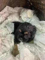 processed/f19af316-ea70-4a04-82ab-e2046be24b66/listing/6501b09b-2712-497a-9f06-ef68e791dc8a/b6b73f3e-03dc-4bda-a616-477942214b94