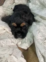 processed/f19af316-ea70-4a04-82ab-e2046be24b66/listing/6501b09b-2712-497a-9f06-ef68e791dc8a/ce9c71ae-8b35-4c7d-8226-7ca034923e92