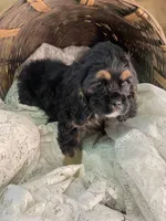 processed/f19af316-ea70-4a04-82ab-e2046be24b66/listing/6501b09b-2712-497a-9f06-ef68e791dc8a/da25c714-63db-490c-8eb0-7b94218dc9b5