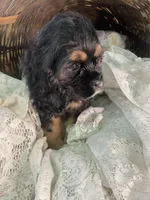 processed/f19af316-ea70-4a04-82ab-e2046be24b66/listing/6501b09b-2712-497a-9f06-ef68e791dc8a/eadcf1dc-71ab-4c4f-b4b9-484805181e9e