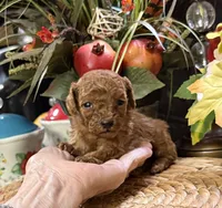 processed/f1a2a073-e610-4677-95a7-5683cae5c4f5/listing/f414955e-578d-43bd-96f7-31b002231b0b/90654e29-cd97-46e6-9fa1-a42f0535fc6e