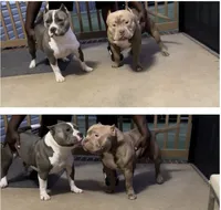 processed/f1b767ab-6887-45e3-944d-e6091405fa26/facility/152e0bb3-ceac-4068-91dd-a4c84cdd5d02