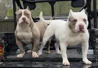 processed/f1b767ab-6887-45e3-944d-e6091405fa26/facility/983da960-91e5-43c3-941c-056f31fead1e