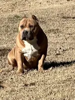 processed/f1b767ab-6887-45e3-944d-e6091405fa26/facility/dab3cff9-0669-4746-83d3-fe7c89912770