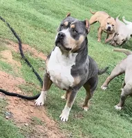 processed/f1b767ab-6887-45e3-944d-e6091405fa26/facility/eee76599-e9fb-43c7-98c9-00bbb3d0a093