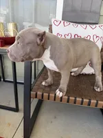 processed/f1b767ab-6887-45e3-944d-e6091405fa26/listing/3bfb2276-f2f8-49ee-8fb4-03b95f24eb42/77052175-5abf-47c7-bea4-74b0e25e7eaa