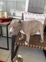 processed/f1b767ab-6887-45e3-944d-e6091405fa26/listing/3bfb2276-f2f8-49ee-8fb4-03b95f24eb42/f2b85b5c-8902-4094-a2f1-01d821977f76