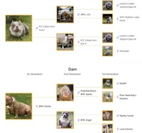 processed/f1b767ab-6887-45e3-944d-e6091405fa26/listing/719703b3-e089-4118-be76-dd6c0ca32812/5e31d962-4a64-4ea4-9d3c-3551b14d00bc