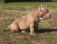 processed/f1b767ab-6887-45e3-944d-e6091405fa26/listing/719703b3-e089-4118-be76-dd6c0ca32812/93205546-6933-4e9a-8fbd-880258f3f03d