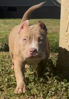 processed/f1b767ab-6887-45e3-944d-e6091405fa26/listing/719703b3-e089-4118-be76-dd6c0ca32812/a4fce713-1818-4e3b-92e5-a5d1aa92c2d4