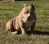 processed/f1b767ab-6887-45e3-944d-e6091405fa26/listing/719703b3-e089-4118-be76-dd6c0ca32812/aea71170-7de5-4002-971e-33e22865d387