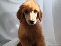 processed/f1c1a60a-76e5-438a-9f41-349215c0821a/listing/c884d496-068a-46a5-89be-6eeb8ae907c5/819dbb48-8396-40e6-aad7-e77b294045d5