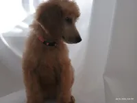 processed/f1c1a60a-76e5-438a-9f41-349215c0821a/listing/c884d496-068a-46a5-89be-6eeb8ae907c5/ae685b27-baf8-422f-84cc-99105d7e003d