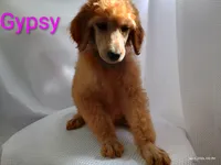 processed/f1c1a60a-76e5-438a-9f41-349215c0821a/listing/c884d496-068a-46a5-89be-6eeb8ae907c5/c443adf7-baf1-40d1-bb3e-13a5bae31b2e