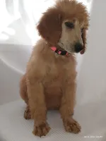 processed/f1c1a60a-76e5-438a-9f41-349215c0821a/listing/c884d496-068a-46a5-89be-6eeb8ae907c5/f0a203af-d5fb-4440-a58e-70b258f29f54