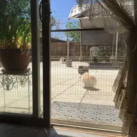 processed/f1c68e9a-aaa8-40bd-973b-8a41d221906a/facility/1d2cb5d8-c544-4980-9ba5-ece9d837cd1e