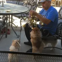 processed/f1c68e9a-aaa8-40bd-973b-8a41d221906a/facility/79817e03-f4d7-47ec-91d6-7a8c669fc066